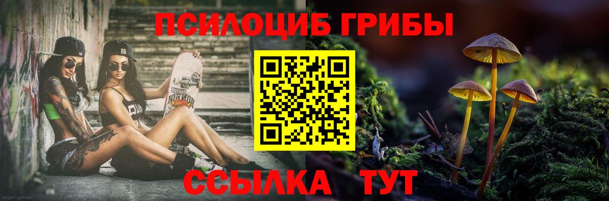 Дзержинск  Псилоцибиновые грибы Magic Shrooms  Галлюциногенные грибы мухоморы  Вход с VPN 